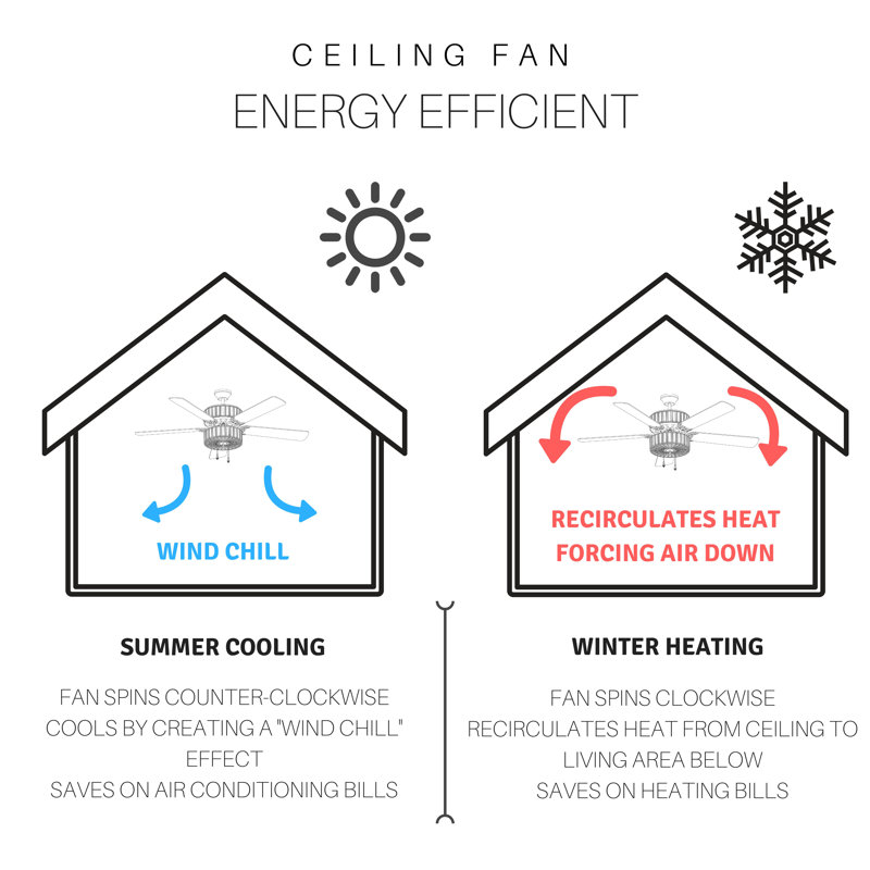 Ceiling Fan Direction Summer Winter Diagram - Living Room Ceiling Fan
